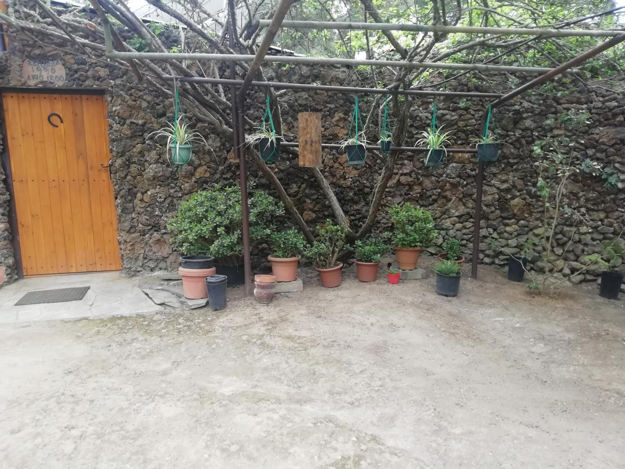 Casa Ecologica, Autosuficiente En Lomo Blanco, Dentro De Una Casa Rodeada De Naturaleza San Juan de la Rambla Exterior foto